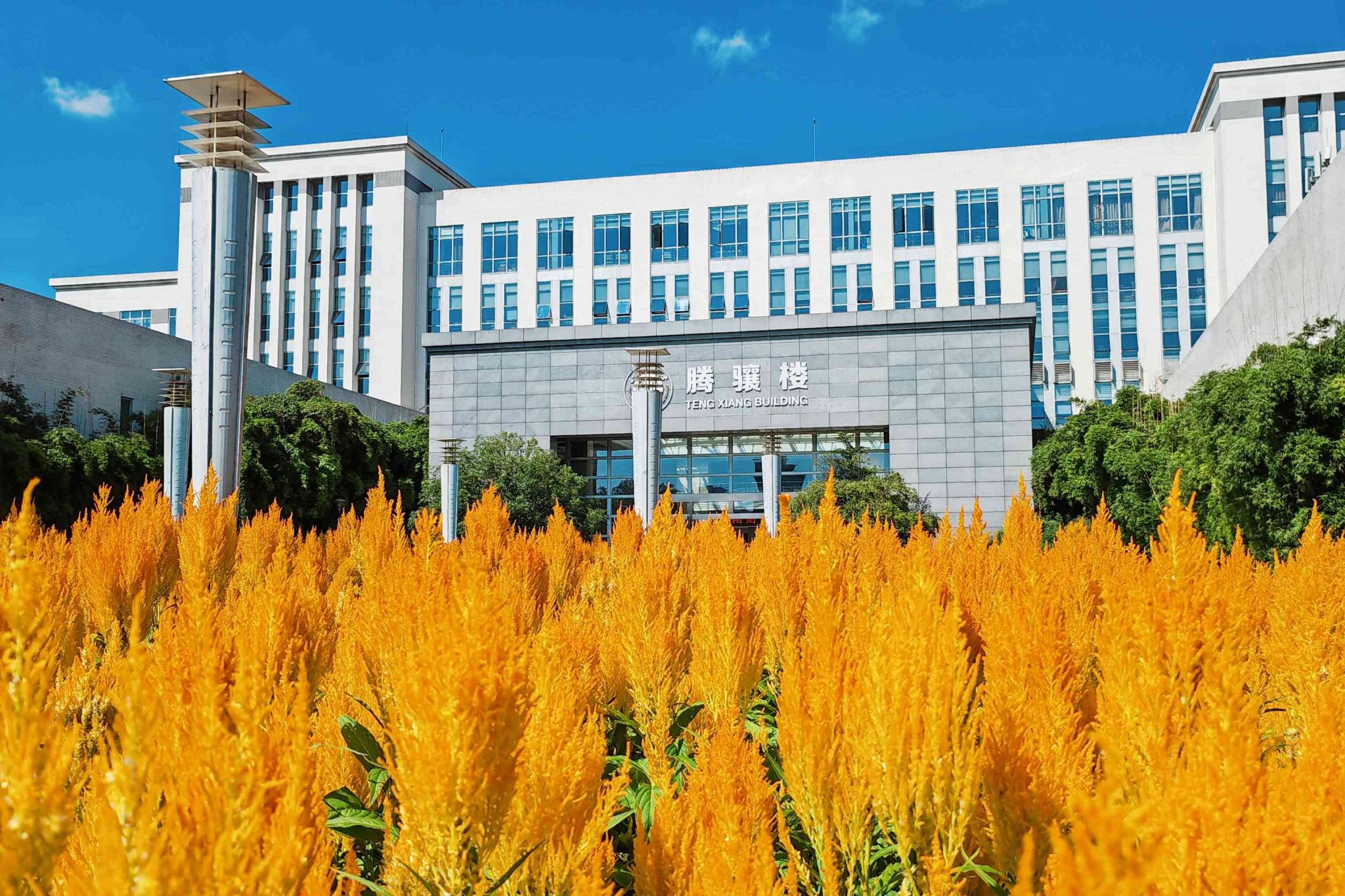 西南财经大学(西南财经大学考研)