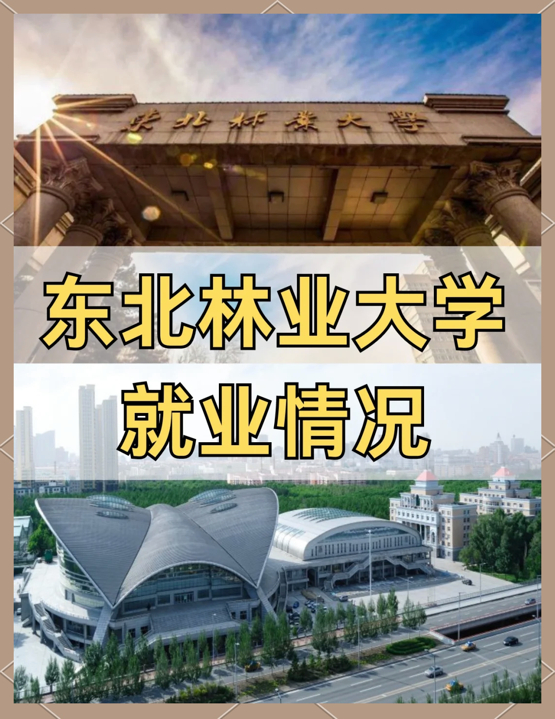 东北林业大学(东北林业大学官网)